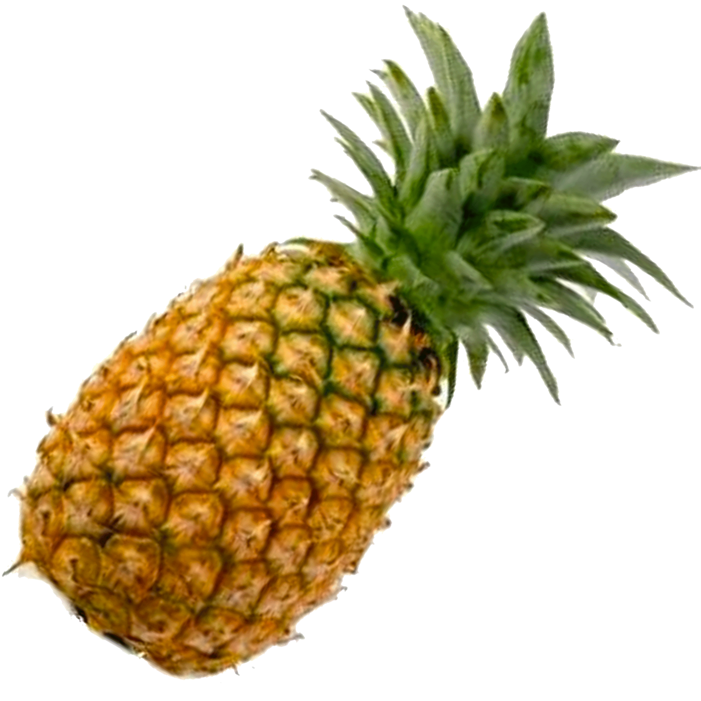 PI˜NA PI˜NA