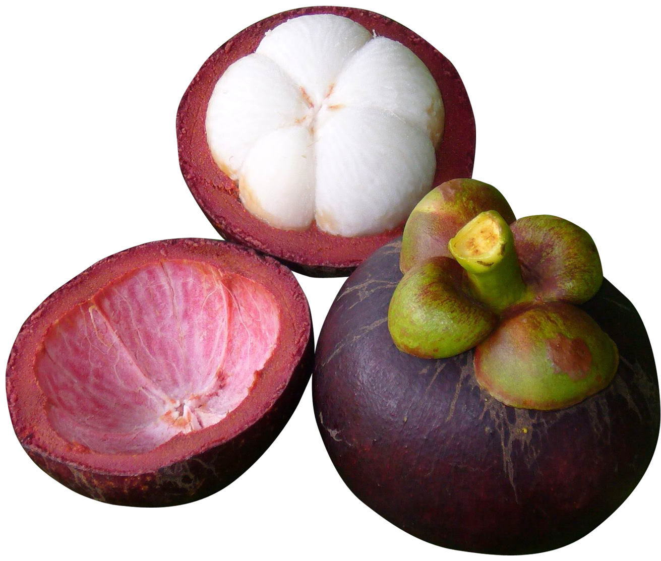 MANGOSTEEN MANGOSTEEN