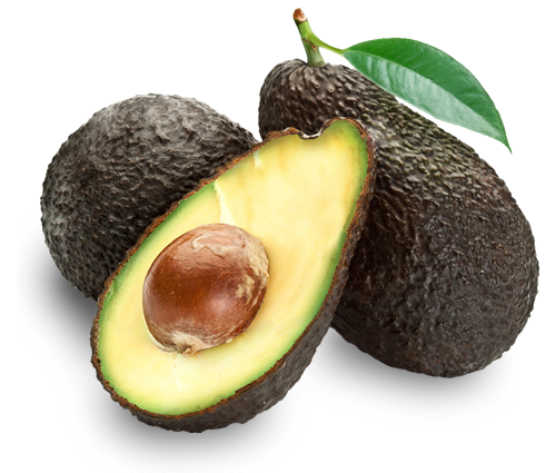 Avo Hass Avo Hass