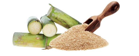 RAW CANE RAW CANE